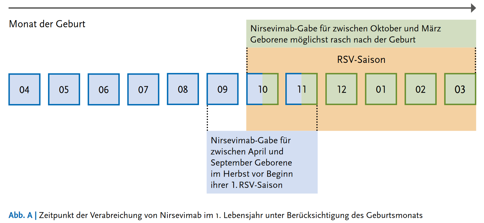 Tabelle: Schema zur Prophylaxe von RSV-Erkrankungen mit Nirsevimab bei Neugeborenen und Säuglingen in ihrer 1. RSV-Saison/ RKI